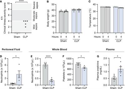 Neonatal NET-Inhibitory Factor improves survival in the cecal ligation and puncture model of polymicrobial sepsis by inhibiting neutrophil extracellular traps